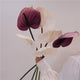 Anthuriums Artificiels