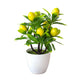 Citronnier Artificiel
