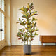 Ficus Artificiel