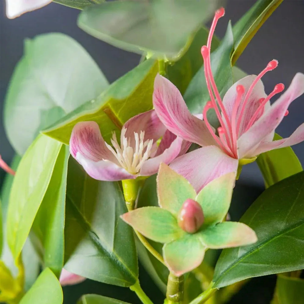 Bauhinia Artificielle