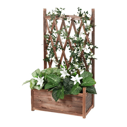 Bac pour Plante