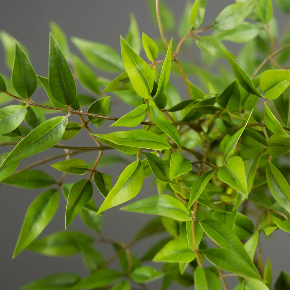 Arbre Artificiel Ficus