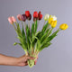 Tulipe Artificielle