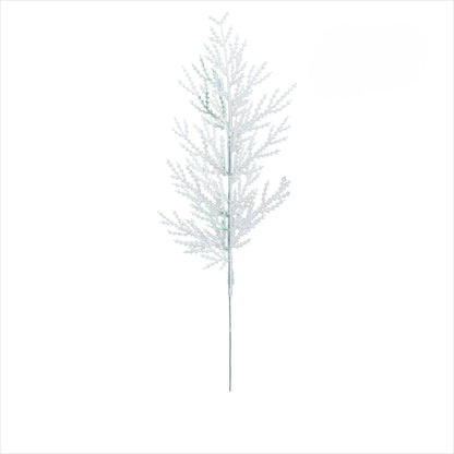 Branches de Pin