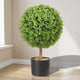 Boule de Buis Artificiel