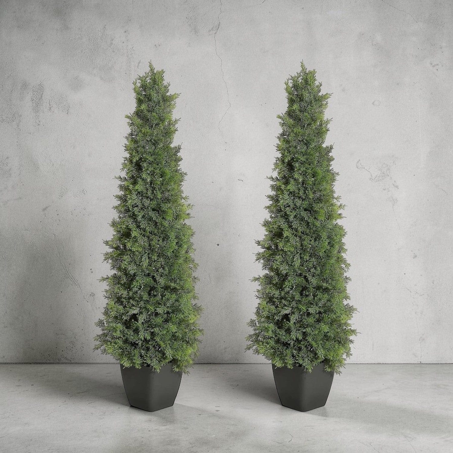 Cèdres Artificiels