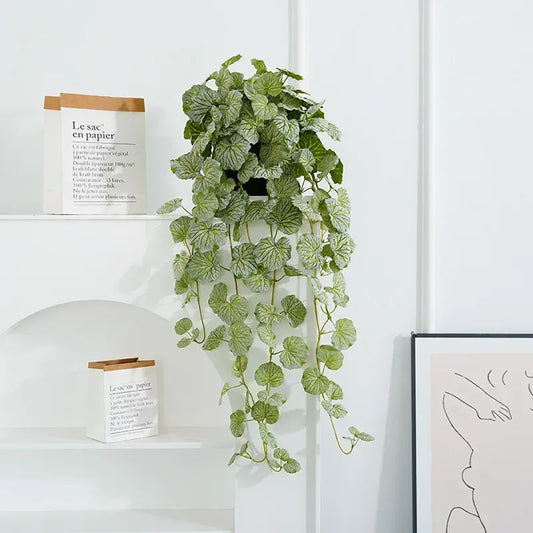 Dichondra Artificiel
