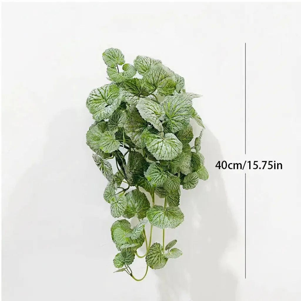 Dichondra Artificiel
