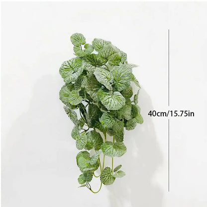 Dichondra Artificiel