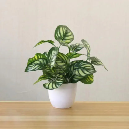 Dieffenbachia Artificielle