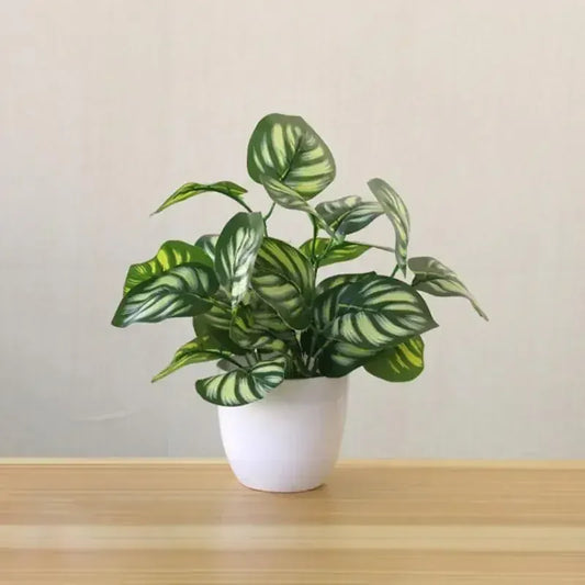 Dieffenbachia Artificielle