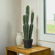 Cactus Artificiel