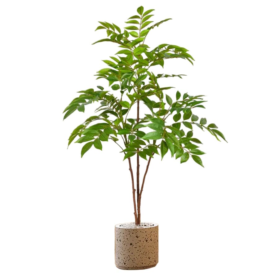 Ficus Artificiels