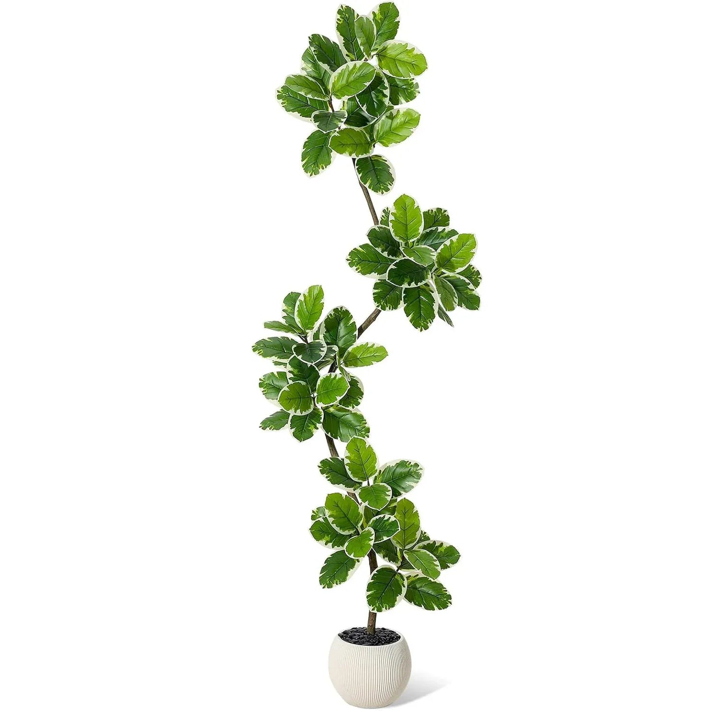 Ficus Elastica Artificiel