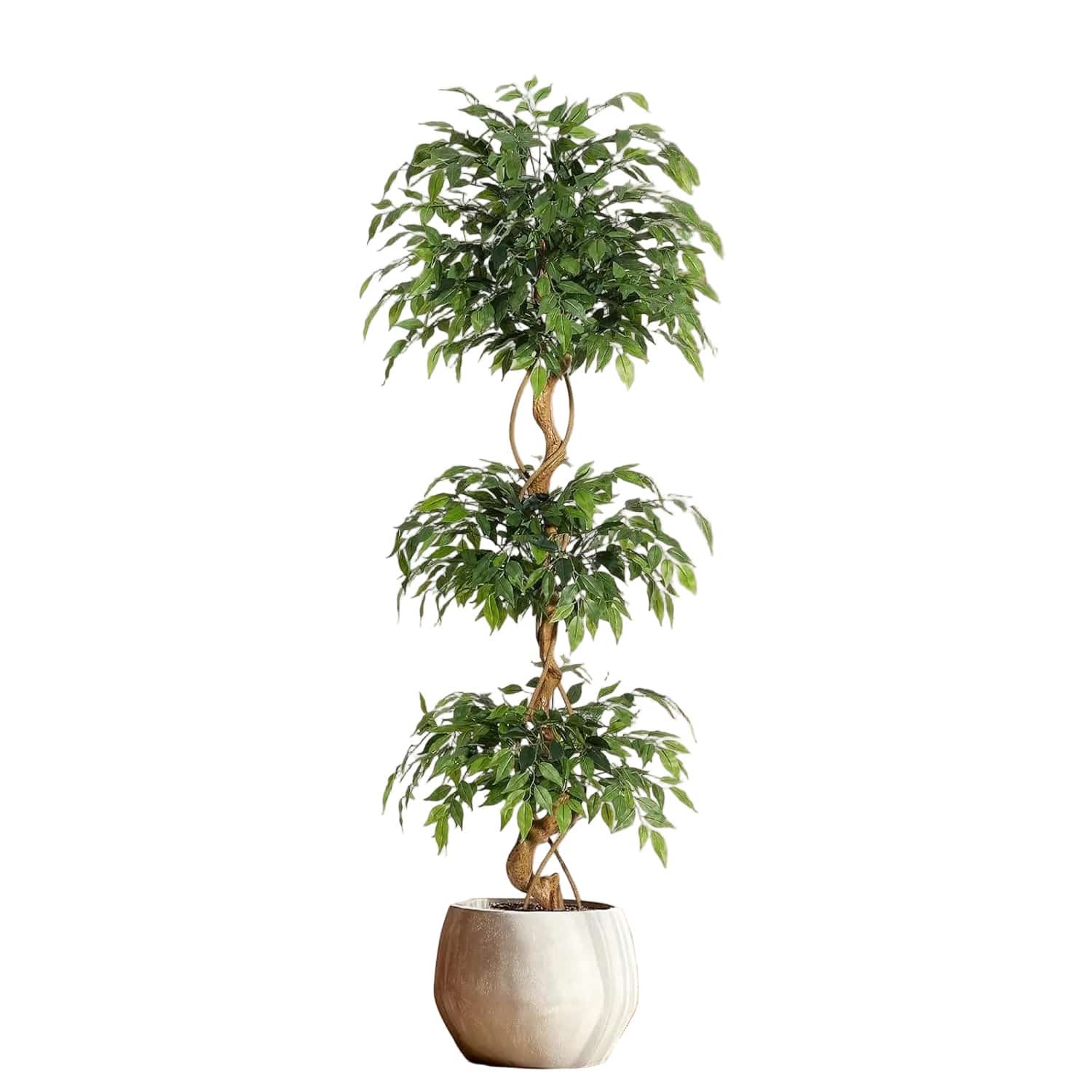 Ficus Tressé Artificiel