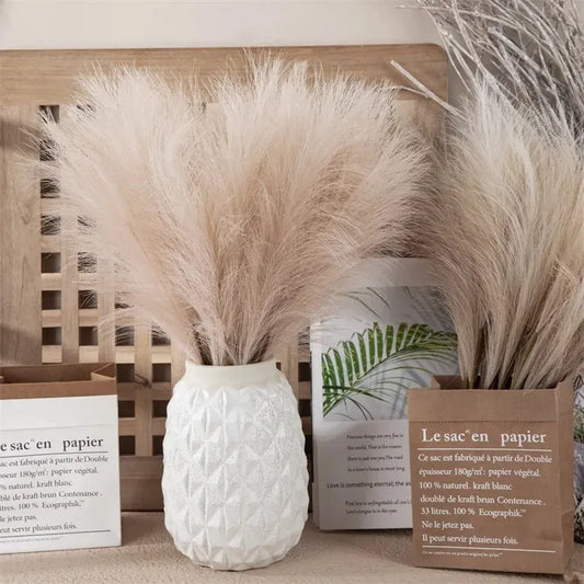 Herbe de Pampas