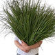 Herbe Artificielle
