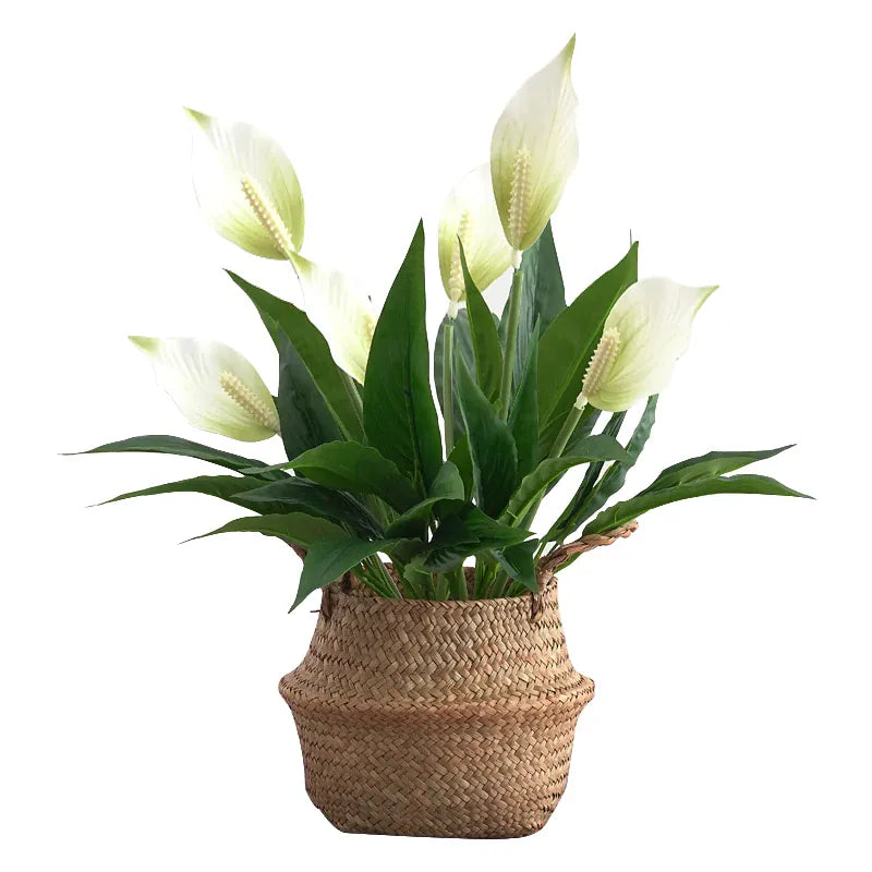 Monstera Artificiel en Fleur