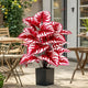 Plantes Artificielles Exterieur Anti UV