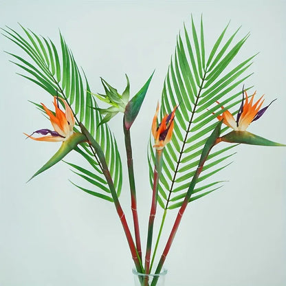 Oiseaux du paradis