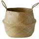 Pots pour Plante