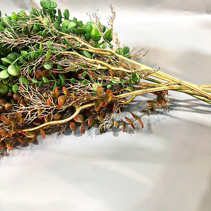 Plante d'Eucalyptus Artificiel retombante