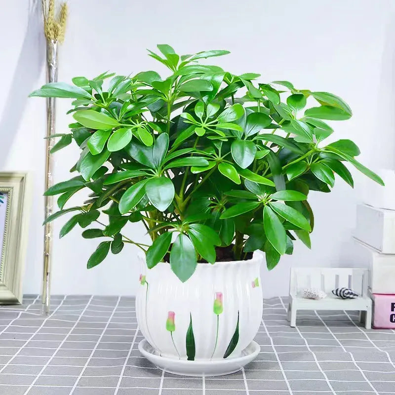 Plante verte artificielle