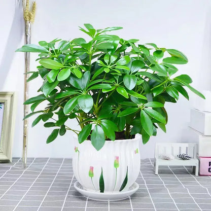 Plante verte artificielle
