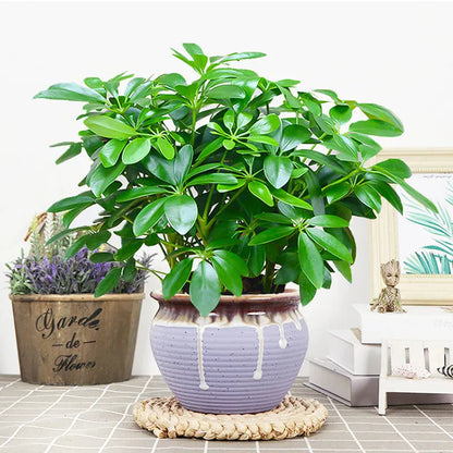 Plante verte artificielle